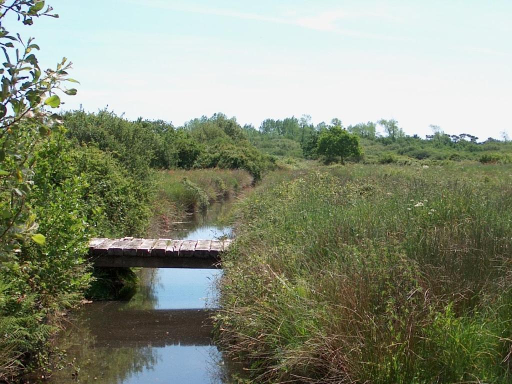 Camping Kost Ar Moor Fouesnant Buitenkant foto